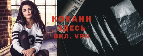 дмт Арсеньев