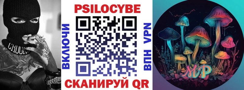 Купить закладки  Дно  Псилоцибиновые грибы мухоморы 